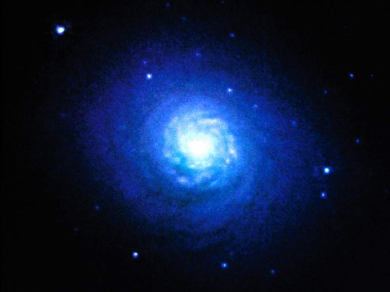 Mini Spiral